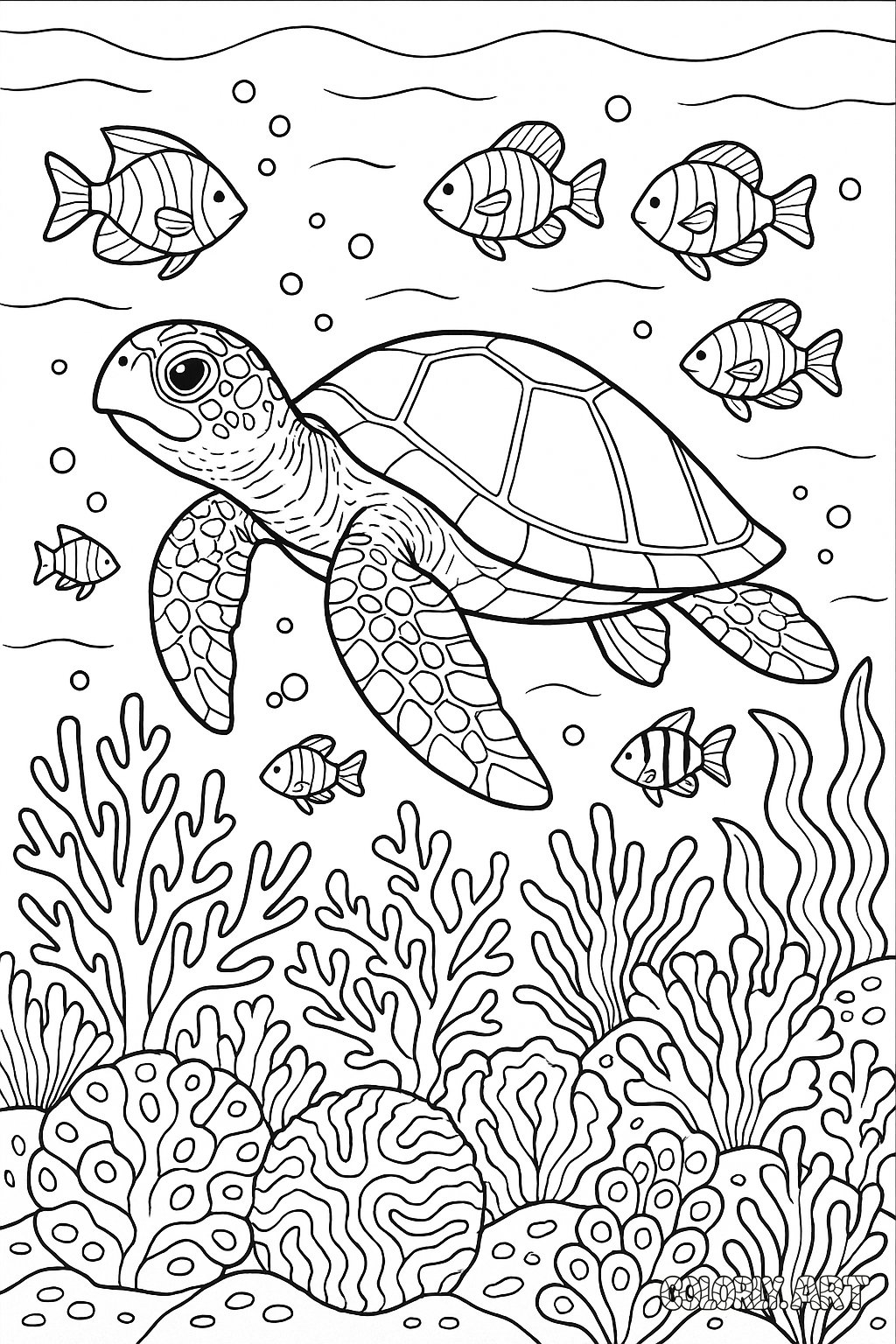 Coral Reef